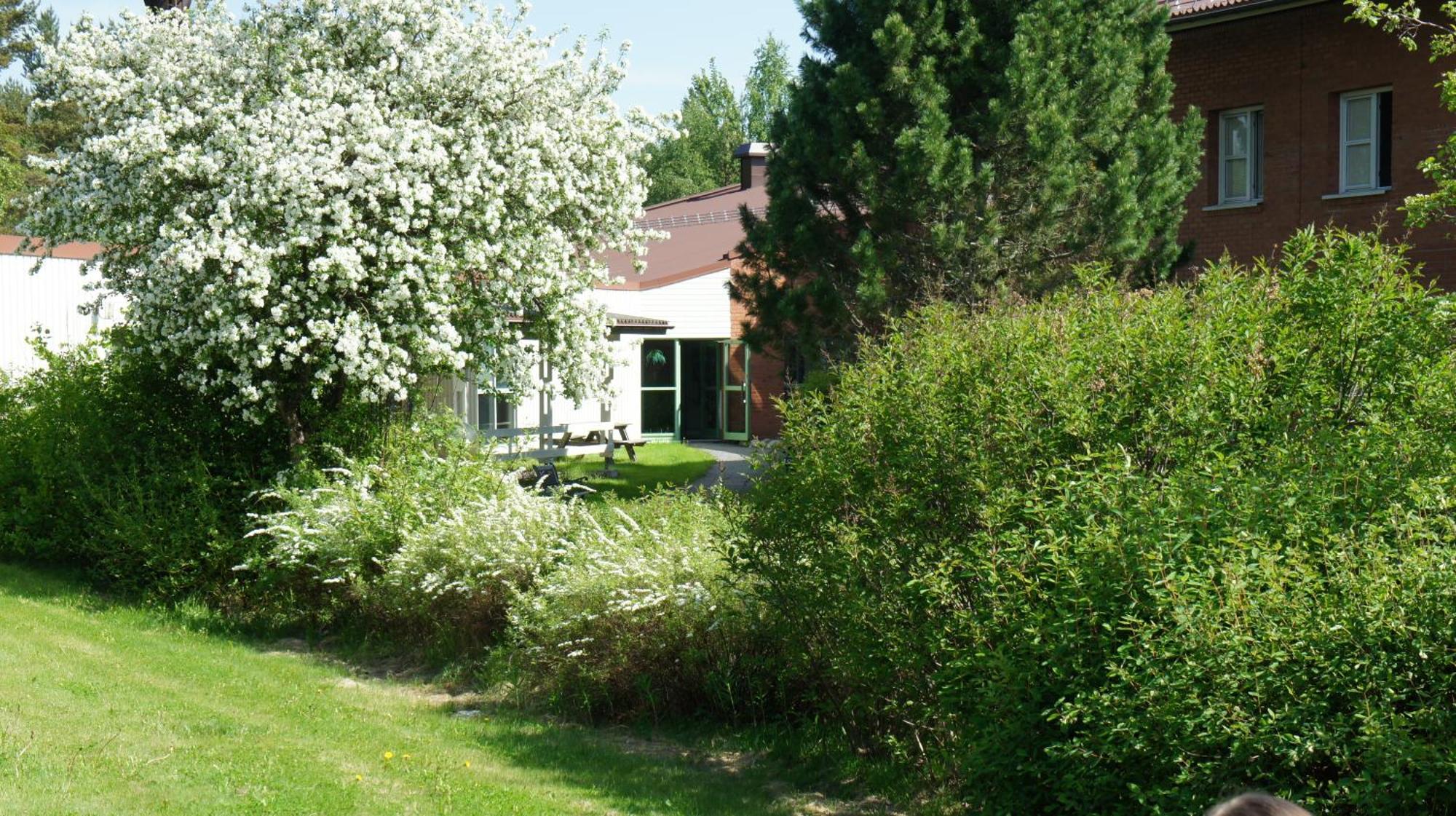 Hotell Vindelngallerian Bagian luar foto