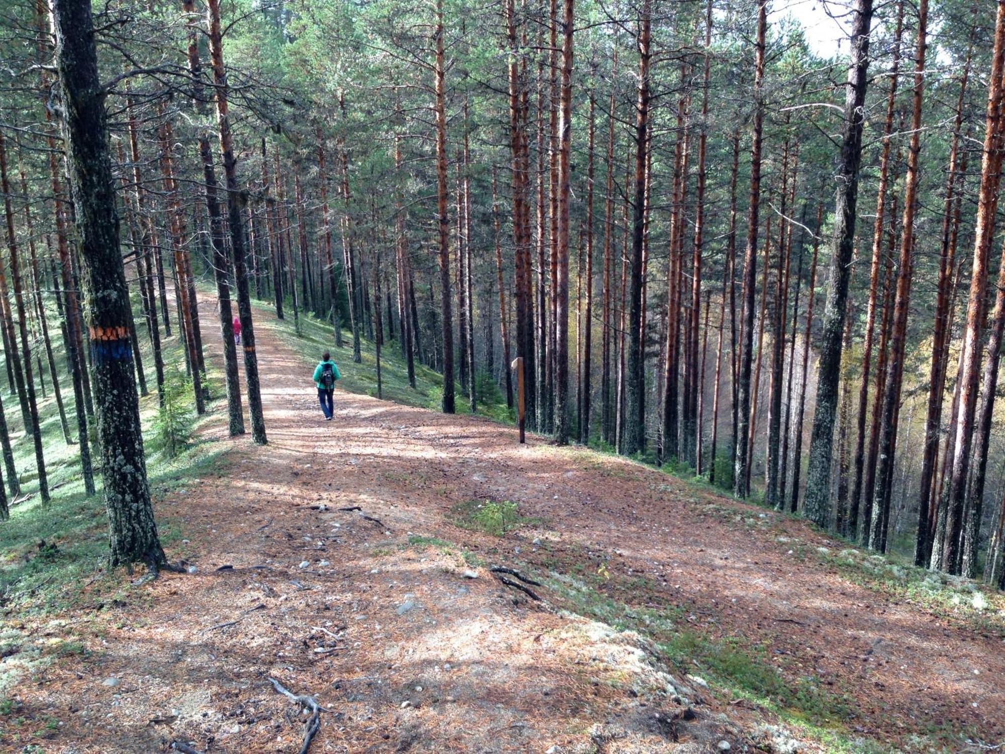 Hotell Vindelngallerian Bagian luar foto